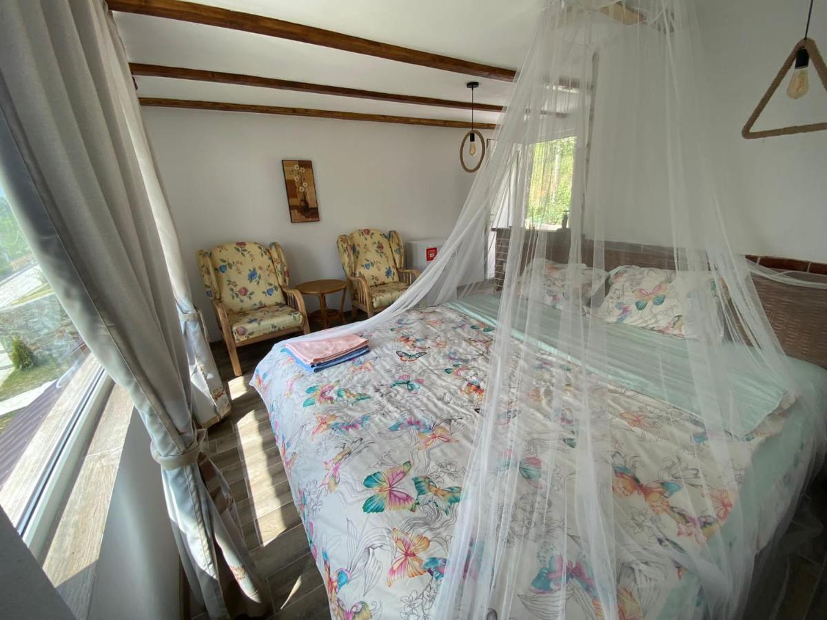 Casutele verzi din Ocnele Mari Esterno foto