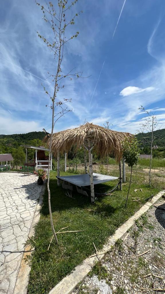 Casutele verzi din Ocnele Mari Esterno foto